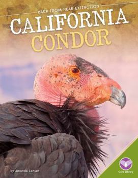 California Condor - Book  of the Back from Near Extinction