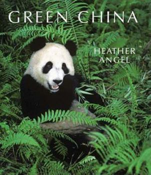 Hardcover Green China Book