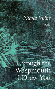 Paperback Through the Waspmouth I Drew You: Volume 285 Book