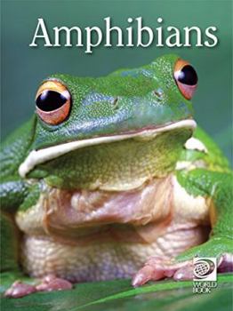 Hardcover Amphibians Book