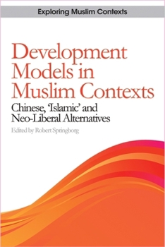 Hardcover Development Models in Muslim Contexts: Chinese, 'Islamic' and Neo-Liberal Alternatives Book