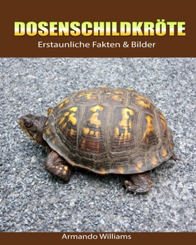 Paperback Dosenschildkr?te: Erstaunliche Fakten & Bilder [German] Book