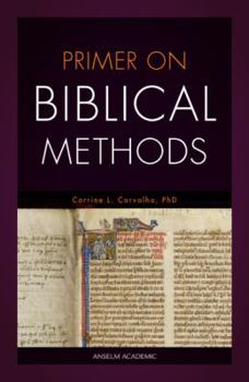 Paperback Primer on Biblical Methods Book