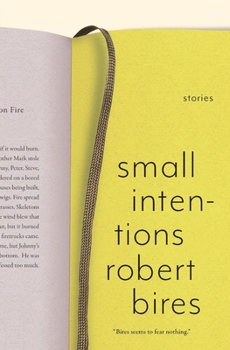 Paperback Small Intentions Book