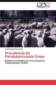 Paperback Prevalencia de Paratuberculosis Ovina [Spanish] Book