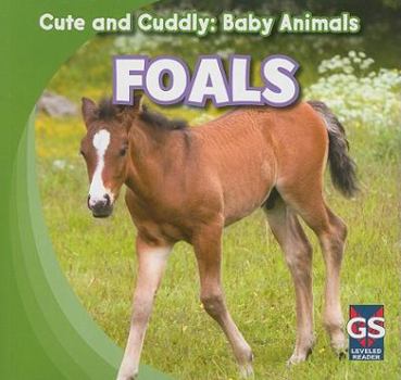 Foals - Book  of the Cute and Cuddly: Baby Animals