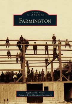Paperback Farmington Book
