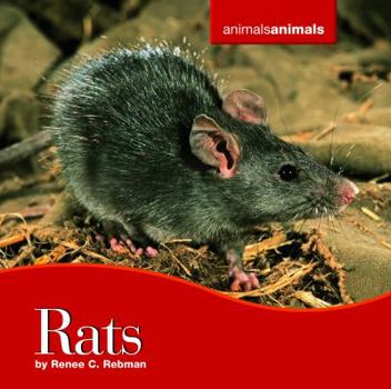 Library Binding Rats Book