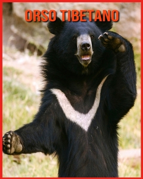 Orso Tibetano: Orso Tibetano Affascinanti Fatti per i bambini con immagini mozzafiato!