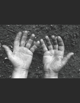 R�yht�ily Toothy Sammakko: Fantasiakomedia