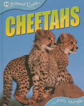 Library Binding Cheetahs Book