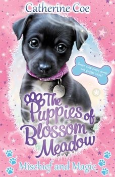 Paperback Mischief and Magic (Puppies of Blossom Meadow 2) Book