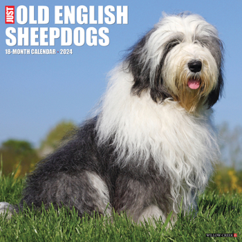 Calendar Just Old English Sheepdogs 2024 12 X 12 Wall Calendar Book