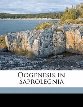 Paperback Oogenesis in Saprolegnia Book