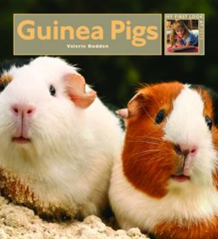 Guinea Pigs - Book  of the My First Look At: Pets