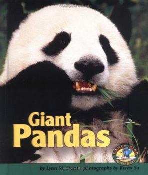 Hardcover Giant Pandas Book