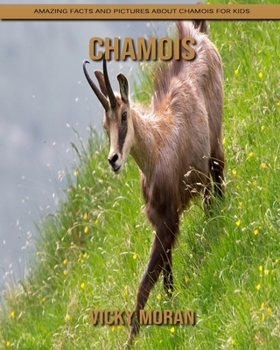 Chamois: Amazing Facts and Pictures about Chamois for Kids