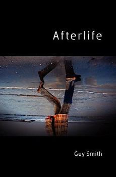Paperback Afterlife Book