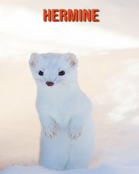 Hermine: Photos Etonnantes & Recueil d’Informations Amusantes Concernant les Percnoptère pour Hermine (French Edition)