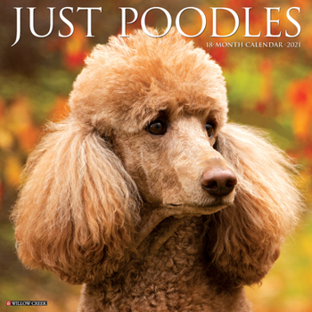 Calendar Just Poodles 2021 Wall Calendar (Dog Breed Calendar) Book