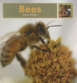 Library Binding Bees Book