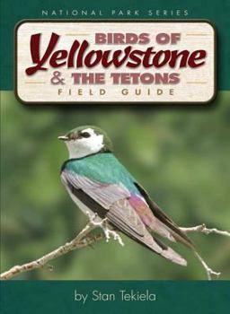 Paperback Birds of Yellowstone & Tetons Field Guide Book