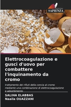 Elettrocoagulazione e gusci d'uovo per combattere l'inquinamento da cromo