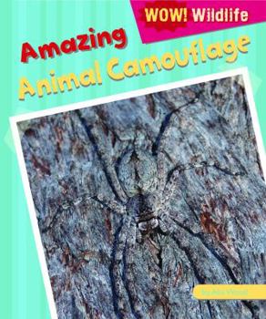 Library Binding Amazing Animal Camouflage Book