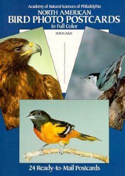 Paperback North American Bird Photo Postcards in Full Color Book