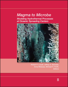 Hardcover Magma to Microbe: Modeling Hydrothermal Processes at Oceanic Spreading Centers Book