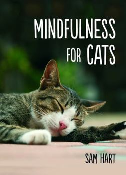 Hardcover Mindfulness for Cats Book