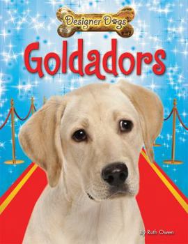 Paperback Goldadors Book