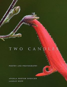 Paperback Two Candles Book
