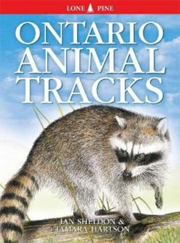 Paperback Ontario Animal Tracks Book