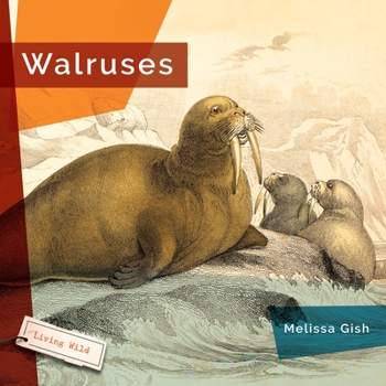 Hardcover Walruses Book