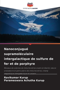 Paperback Nanoconjugué supramoléculaire intergalactique de sulfure de fer et de porphyre [French] Book