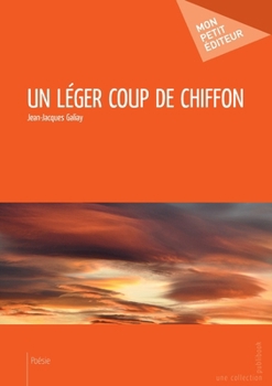 Paperback Un léger coup de chiffon [French] Book