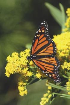 Paperback The Monarch Butterfly Journal: 150 page lined notebook/diary Book