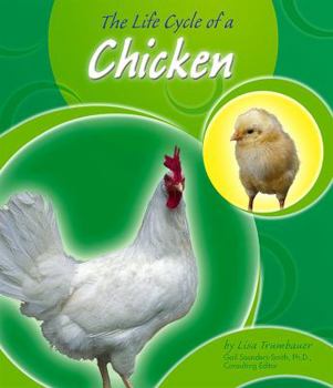 Paperback The Life Cycle of a Chicken (Life Cycles) Book