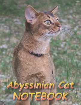 Paperback Abyssinian Cat NOTEBOOK: Notebooks and Journals 110 pages (8.5"x11") Book
