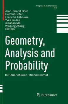 Paperback Geometry, Analysis and Probability: In Honor of Jean-Michel Bismut Book