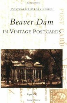 Paperback Beaver Dam in Vintage Postcards Book