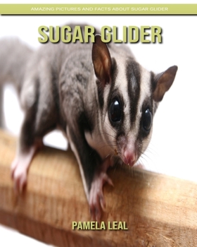 Paperback Sugar Glider: Amazing Pictures and Facts about Sugar Glider Book