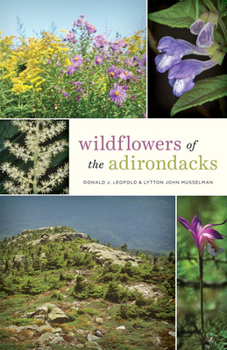 Paperback Wildflowers of the Adirondacks Book