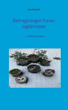 Betragtninger fra en tagterrasse: - i vinterhalvåret