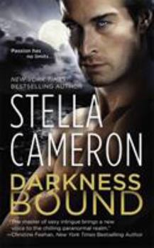 Darkness Bound - Book #1 of the Chimney Rock