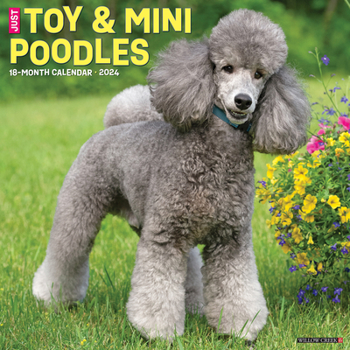 Calendar Just Toy & Miniature Poodles 2024 12 X 12 Wall Calendar Book