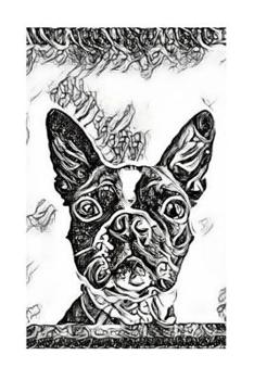 Paperback Boston Terrier Book