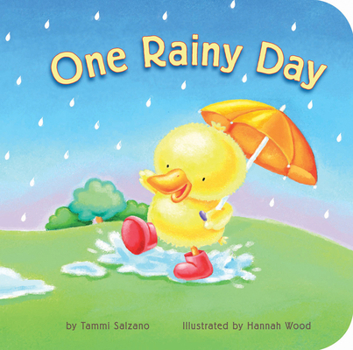 Board book One Rainy Day Book