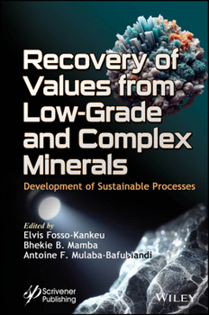 Hardcover Recovery of Values from Low-Grade and Complex Minerals: Development of Sustainable Processes Book